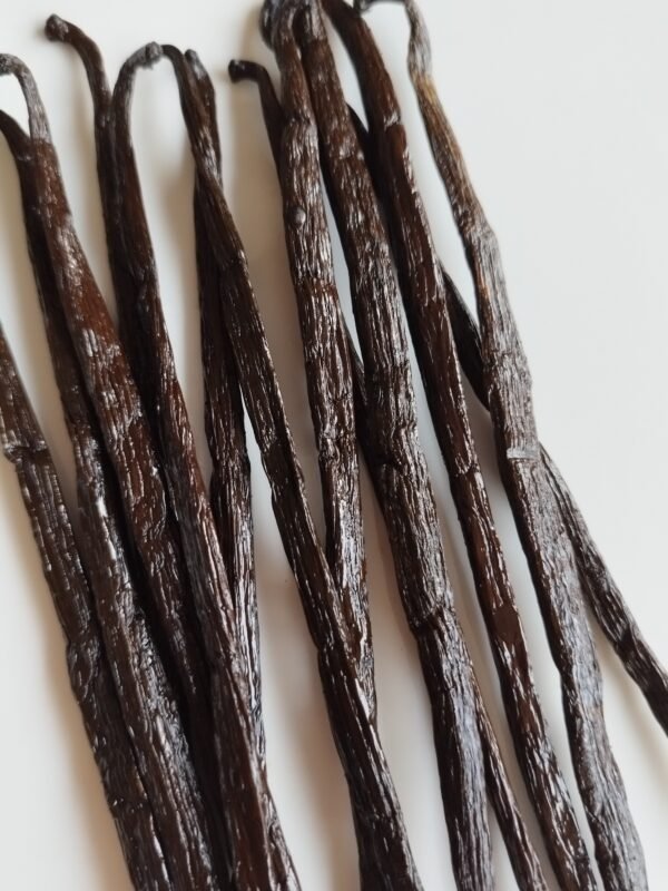 GOUSSES VANILLE BOURBON DE MADAGASCAR
