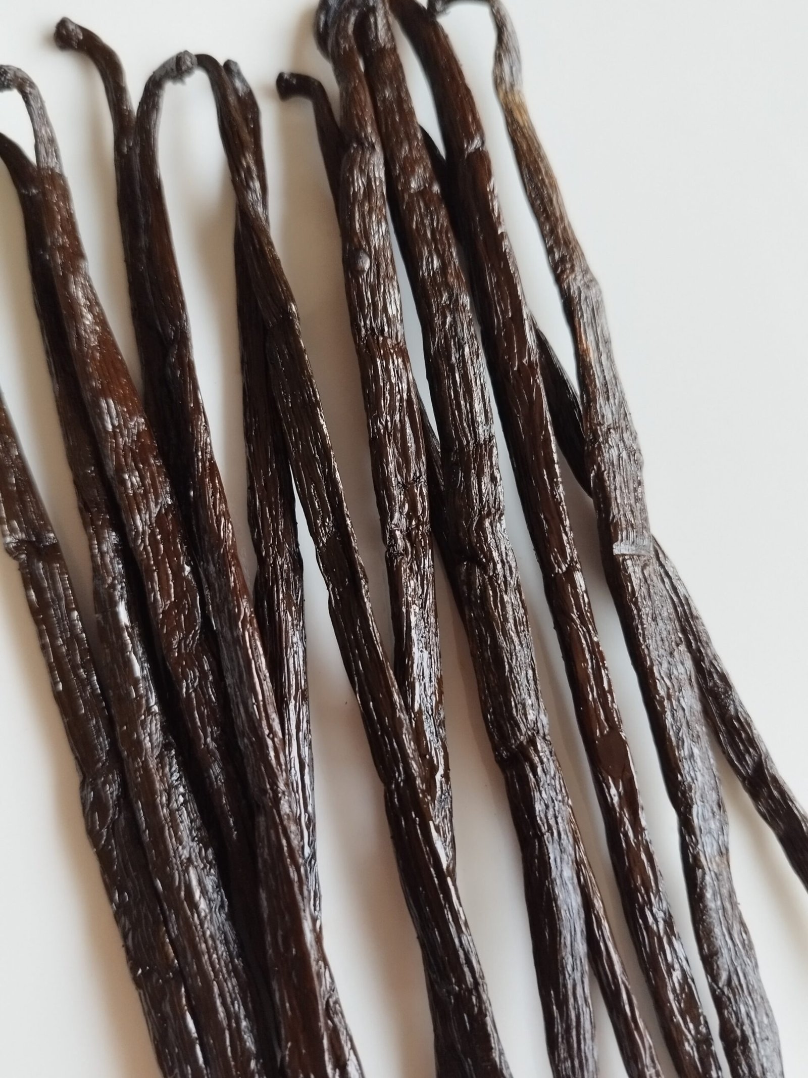 GOUSSES VANILLE BOURBON DE MADAGASCAR